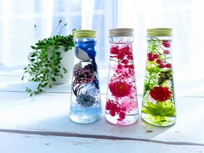 窓際に飾った3本のハーバリウム