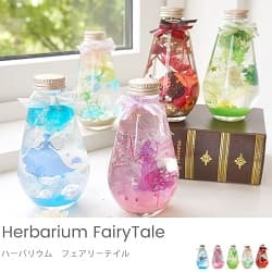 5種類のハーバリウム フェアリーテイル