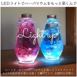 コースターの上でLight-upされるフェアリーテイル2本