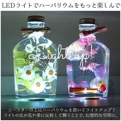 コースターの上でLight upされる3本のハーバリウム シーズンズ ボトル