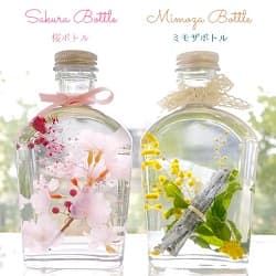 シーズンズ ボトル ピンクの桜ボトルと黄色のミモザボトル