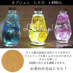Light upされた ハーバリウム ティアーズドロップシリーズ オプションLED+480円