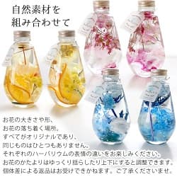 ハーバリウム ティアーズドロップシリーズ 自然素材を組み合わせて