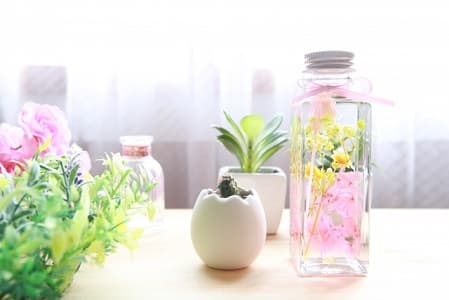 窓際に飾ったハーバリウムと観葉植物