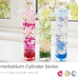 3本のハーバリウム シリンダーシリーズ