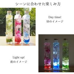 シリンダーシリーズ シーンに合わせた楽しみ方Day time!昼のイメージLight up!夜のイメージ