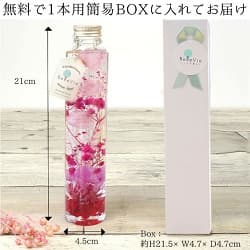 シリンダーシリーズ 無料で１本用簡易ＢＯＸに入れてお届け 21cm×4.5ｃｍ