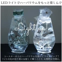 コースターの上でLight-upされる2本のハーバリウム クールクリア ペアボトル