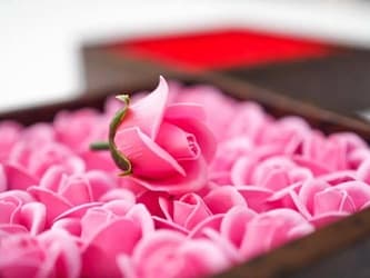 ミニローズフレグランスS-25輪入り レッド ピンクのアップ