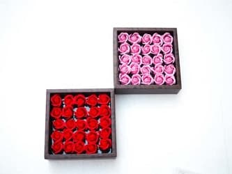 真上から見た ミニローズフレグランスS-25輪入り レッド ピンク