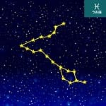 うお座のイラスト