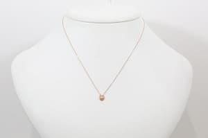 ネックレス、オルネティアラを首に掛けたイメージ