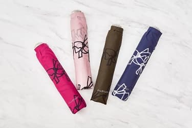 リボン柄軽量ミニ|折りたたみ傘 4本