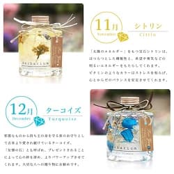 ハーバリウム-バースデー 1本