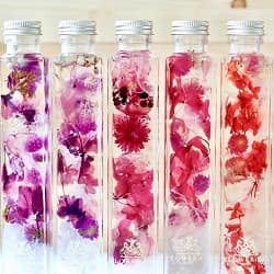 トワレ ハーバリウム 5本(レッド パープル)