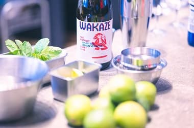 THE BOTANICのボトルと柑橘系のボタニカル素材