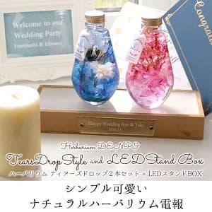 ハーバリウム ティアドロップ2本セット+LEDスタンドBOX シンプル可愛いナチュラルハーバリウム電報