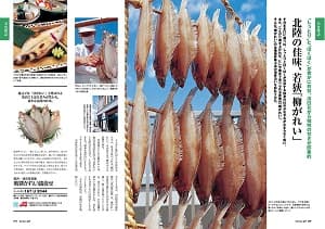 北陸の佳味、若狭「柳がれい」 若狭されい詰合せ