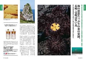 海の恩恵たっぷりの食の楽園、長崎・壱岐は旨い島 壱岐うに 金帯