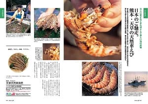日本のご馳走。熊本・天草の天然車えび 天草天然車海老