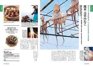 熊本 天草のたこ 天草干し蛸