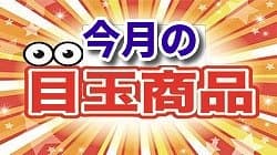 今月の目玉商品
