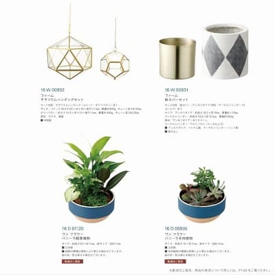 観葉植物などのインテリア雑貨