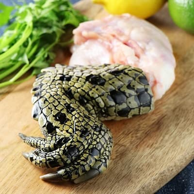 爪部分の皮膚がワイルドなワニの爪部分の肉