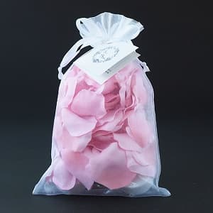 ラッピングされた シンデレラのガラスの靴 ピンク