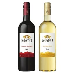 エノテカ チリ赤白ワイン2本セット