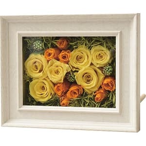 プリザーブドフラワー エレガントフレーム