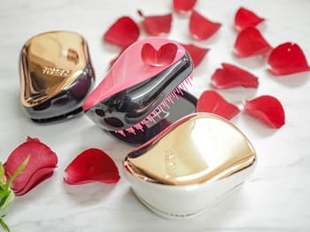 赤い花びらとコンパクトスタイラー ３個