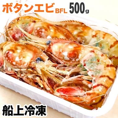 子持ちボタンエビ 500g 冷凍船上