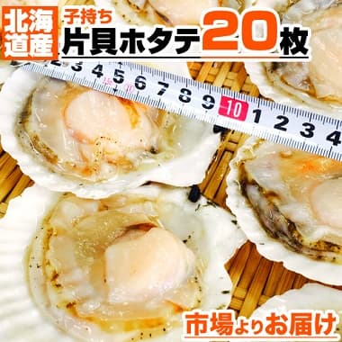 北海道産 子持ち片貝ホタテ 20枚