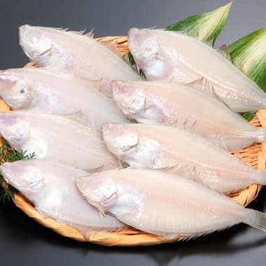 ざるに並べられた水かれい一夜干8枚