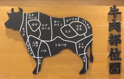 牛肉部位図